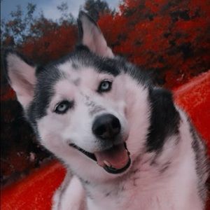 Meet your Posher, Debra